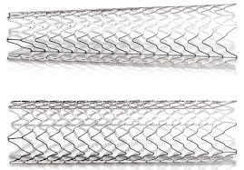 STENT CAROTIDEO ACCULINK